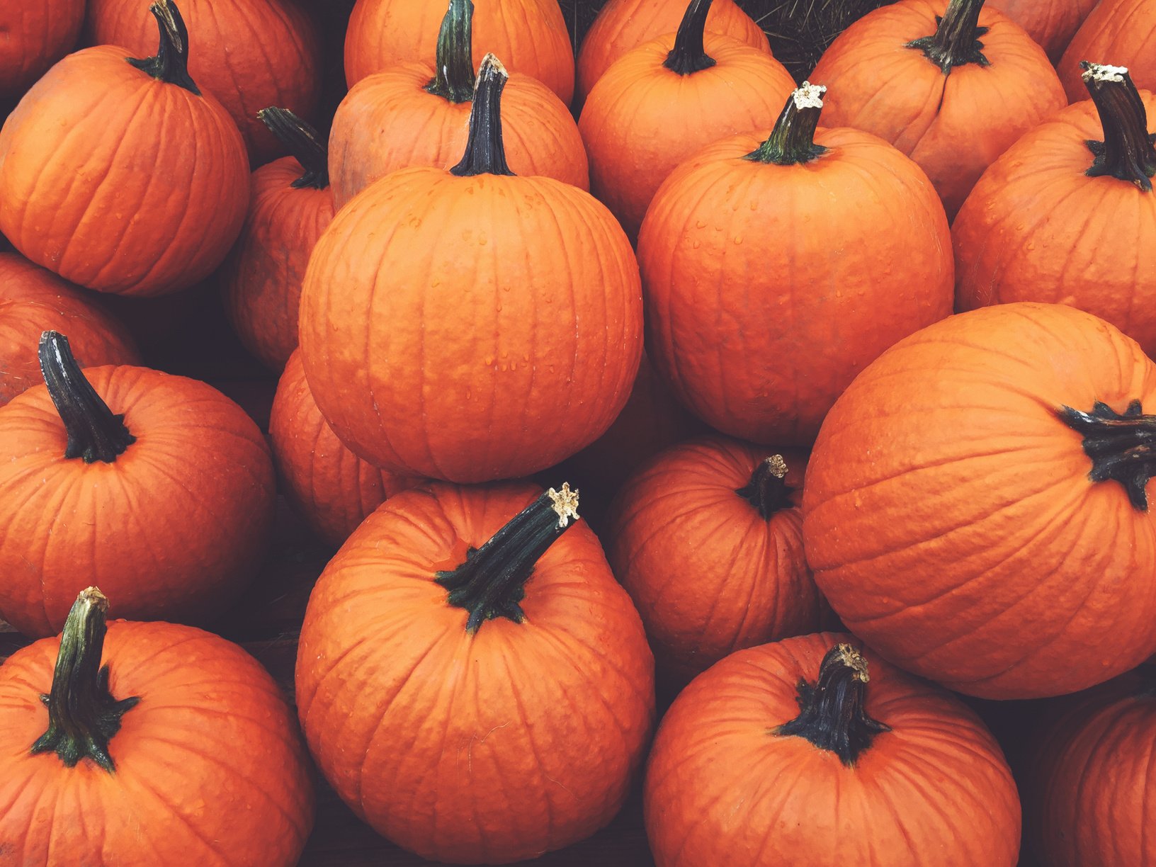 Fall Pumpkins Background